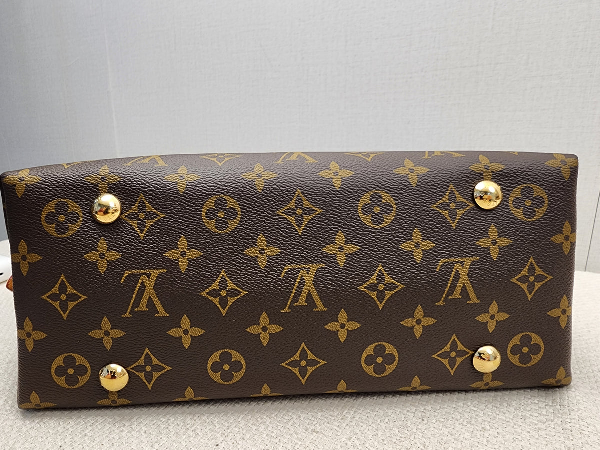 LV Monogram CarryAll PM