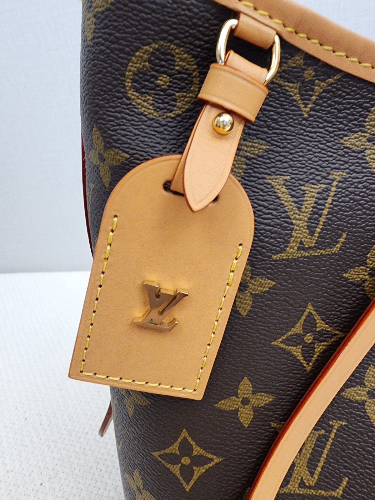 LV Monogram CarryAll PM