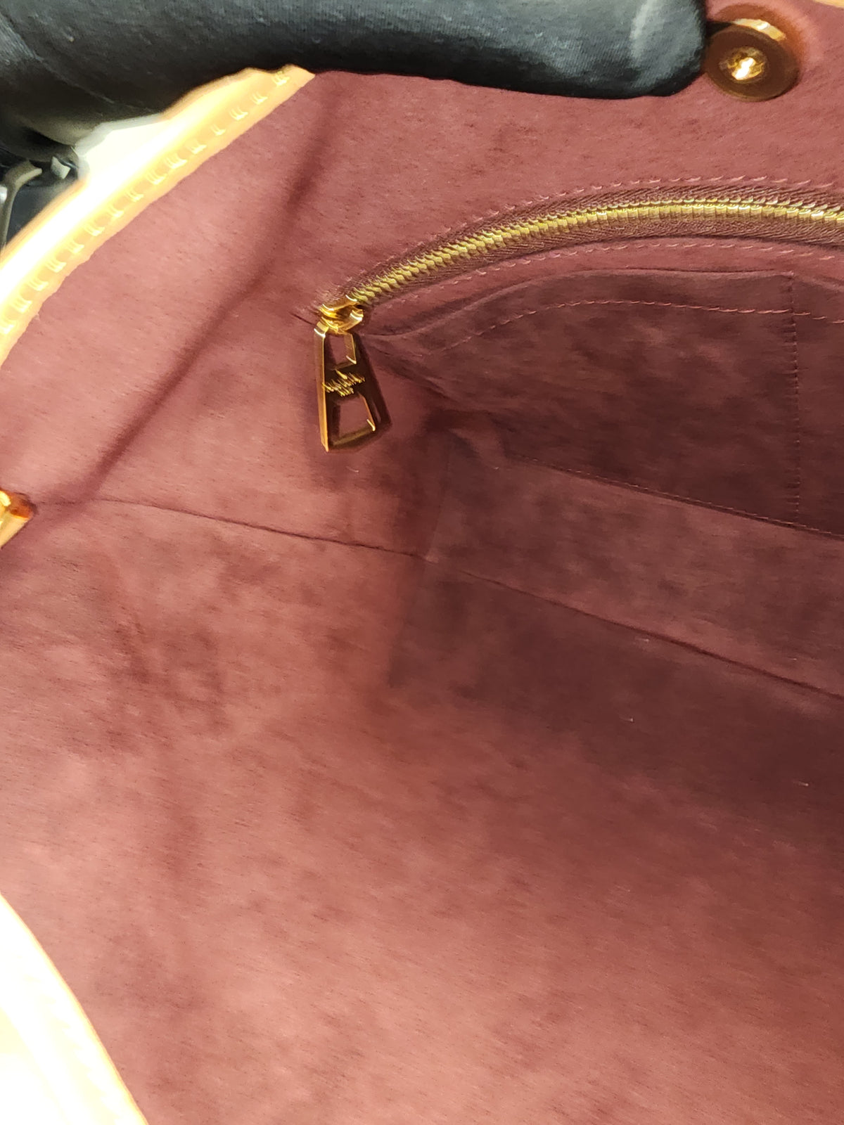 LV Monogram CarryAll PM