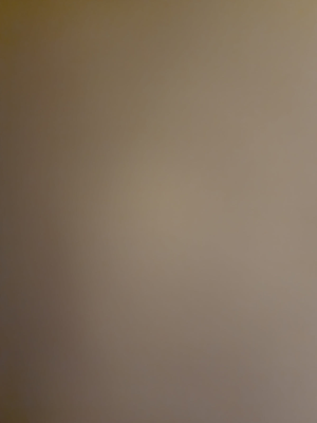Dior Beige Calfskin Vintage Saddle Bag (SHW)