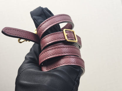 Celine Burgundy Calfskin Nano Belt Bag (GHW)