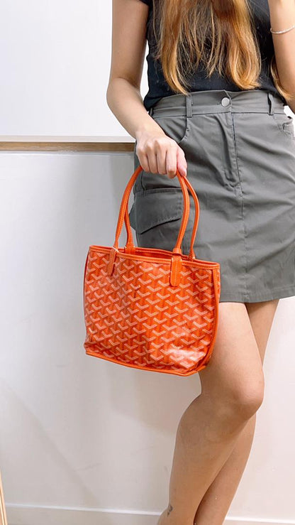 Goyard Orange Mini Anjou