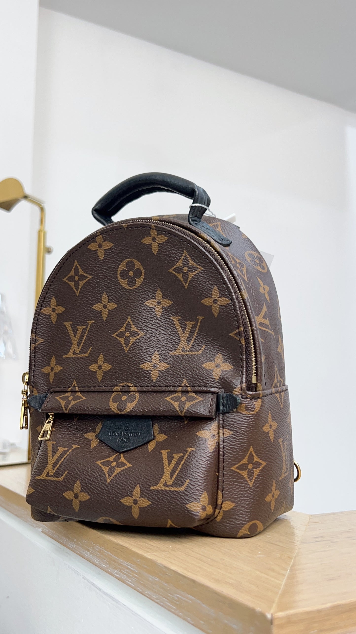 Louis Vuitton Monogram Palm Spring Mini Backpack