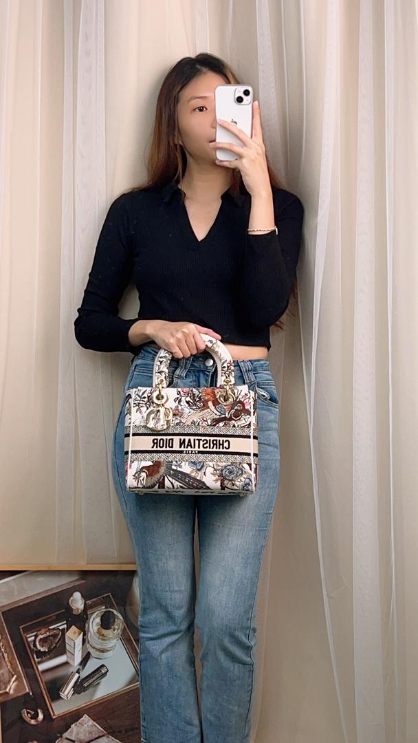 Dior Beige Embroidered Jardin d’hiver Medium D-Lite Bag (Ghw)