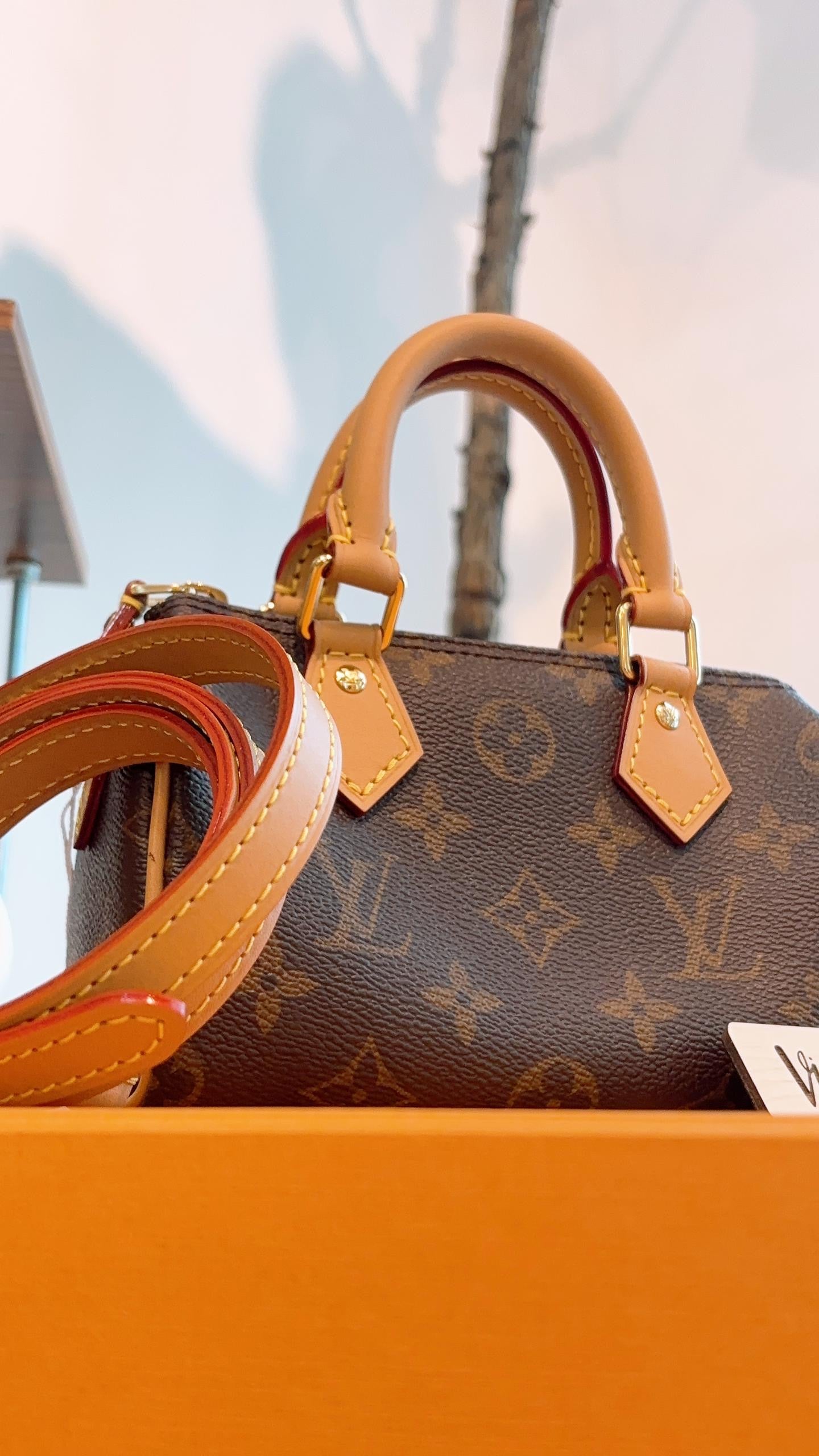 LV Monogram Nano Speedy