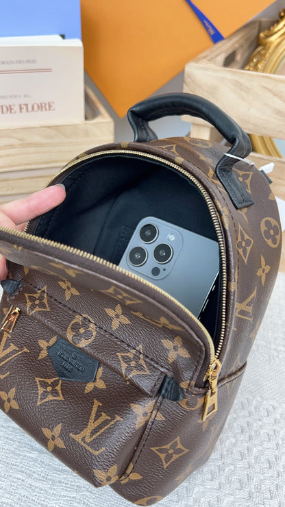 Louis Vuitton Monogram Palm Spring Mini Backpack