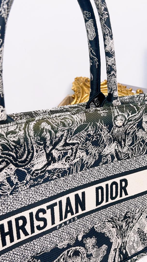 Dior Medium Book Tote Toile De Jouy Embroidery