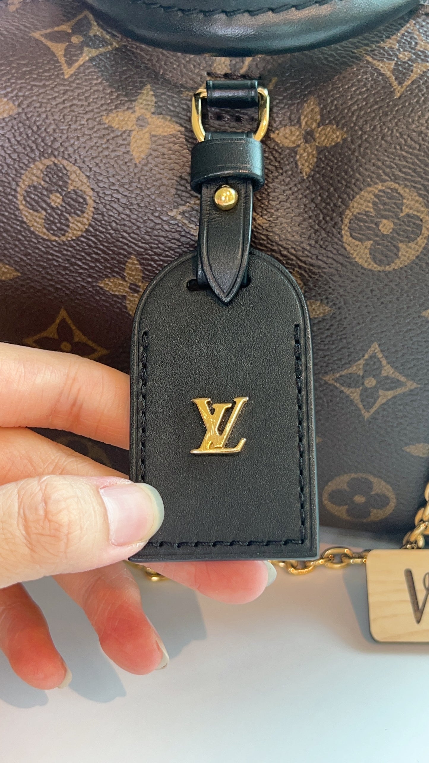 LV Monogram Petit Maue Soupe