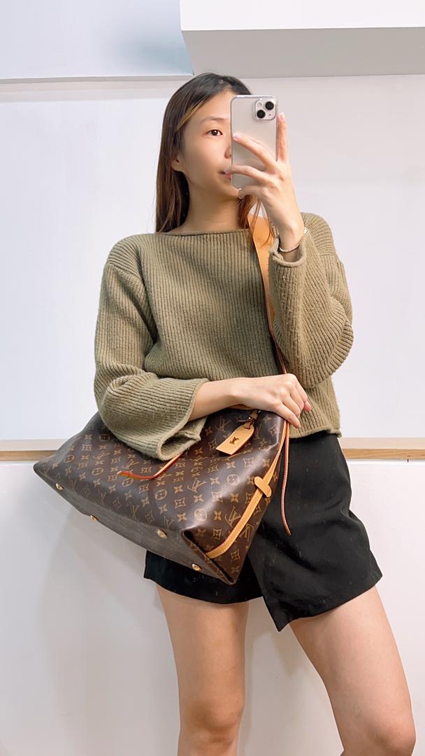 LV Monogram Carryall MM (no pouch)