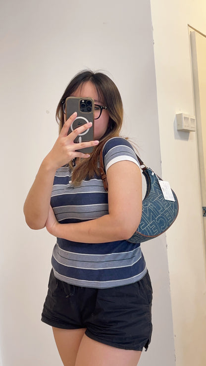 Celine Medium Denim Ava