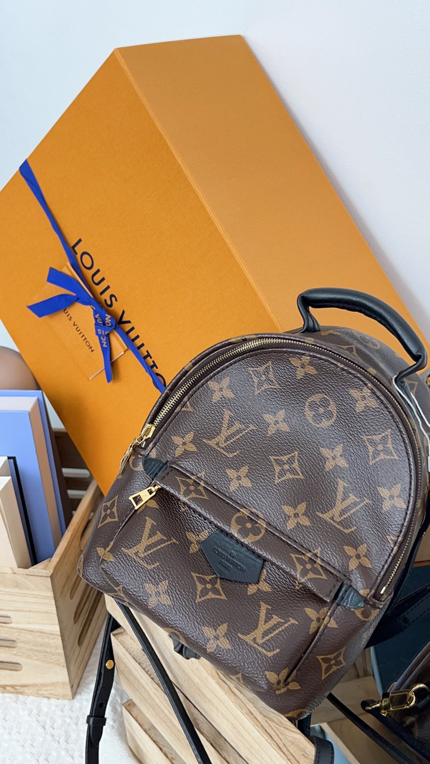 Louis Vuitton Monogram Palm Spring Mini Backpack