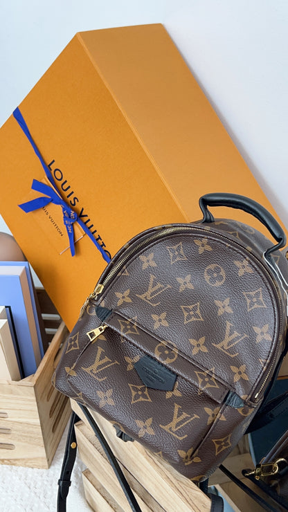 Louis Vuitton Monogram Palm Spring Mini Backpack