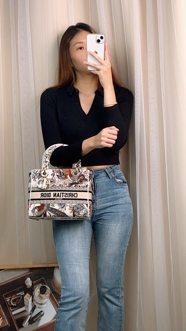 Dior Beige Embroidered Jardin d’hiver Medium D-Lite Bag (Ghw)