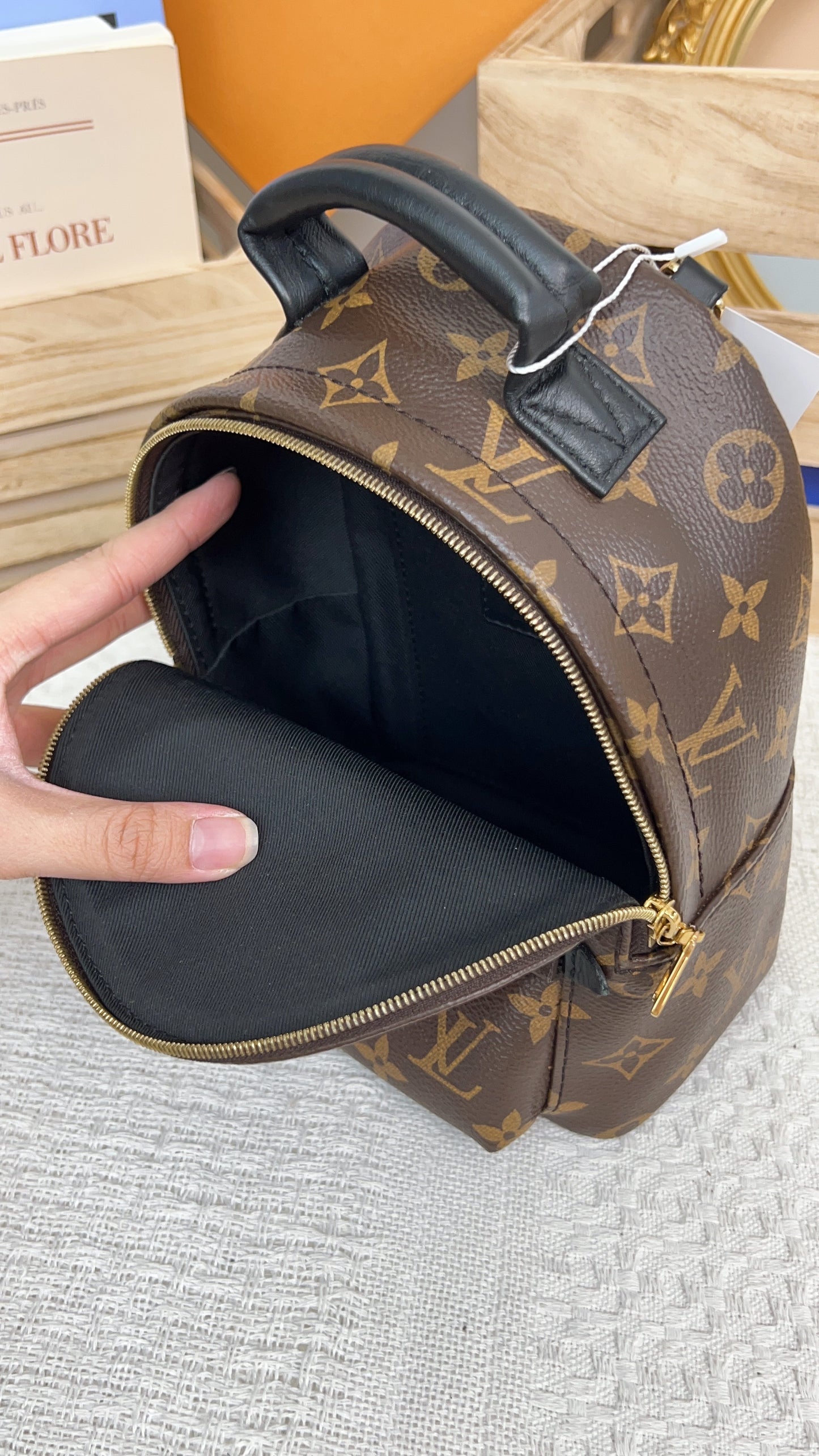 Louis Vuitton Monogram Palm Spring Mini Backpack