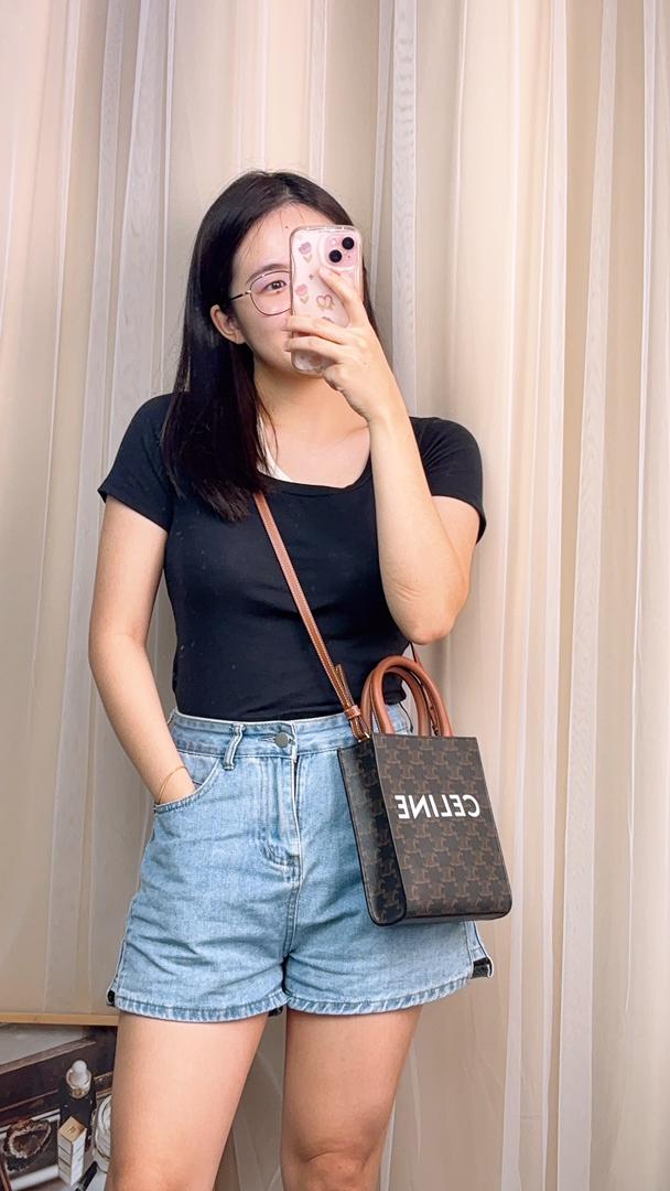 Celine Triomphe Mini Vertical Cabas Tote