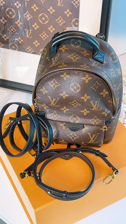 LV Monogram Mini Palm Spring
