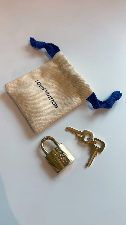 LV Reverse Monogram Cannes