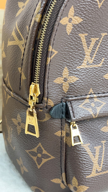 Louis Vuitton Monogram Palm Spring Mini Backpack