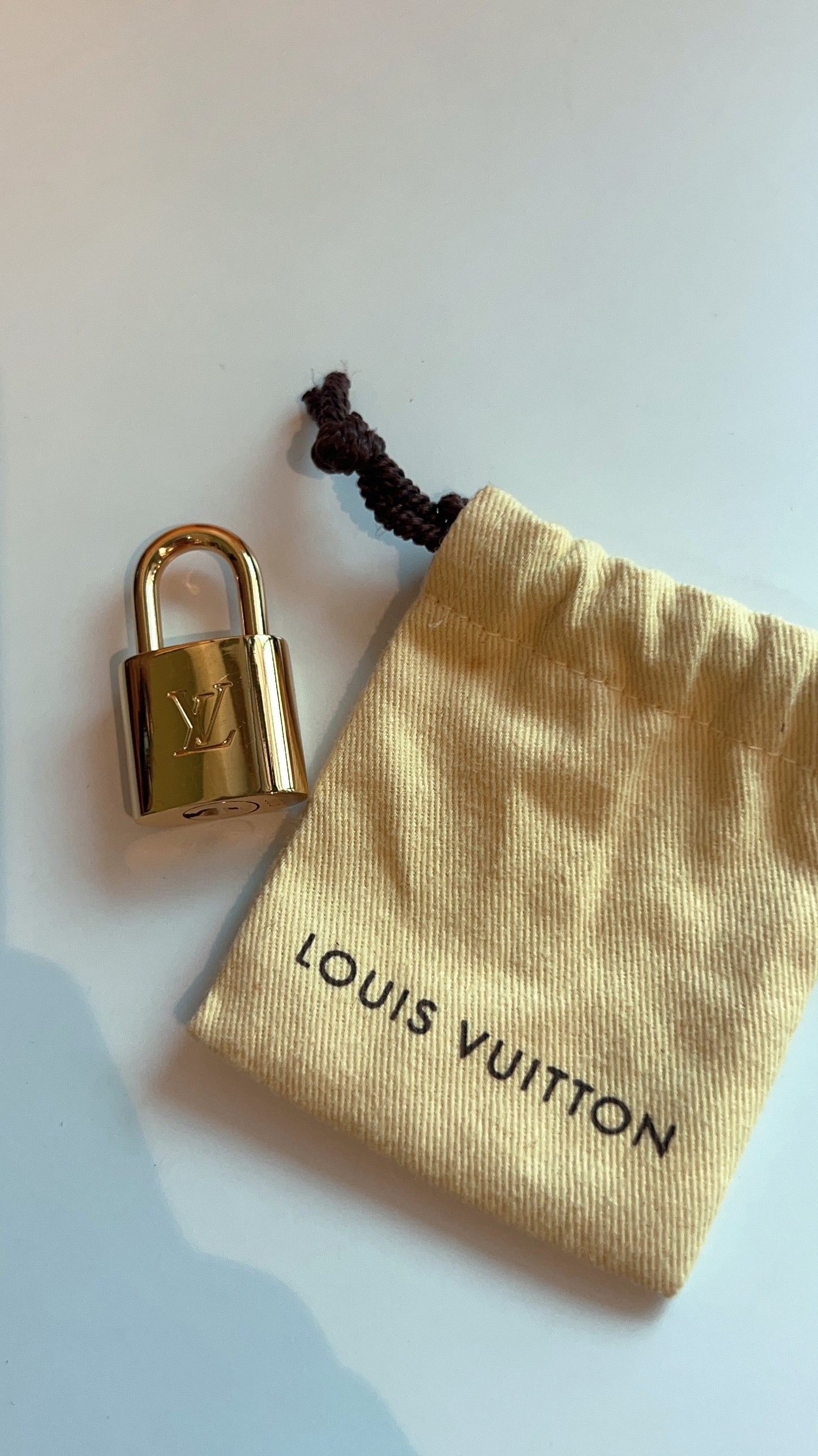 LV Damier Ebene Alma BB