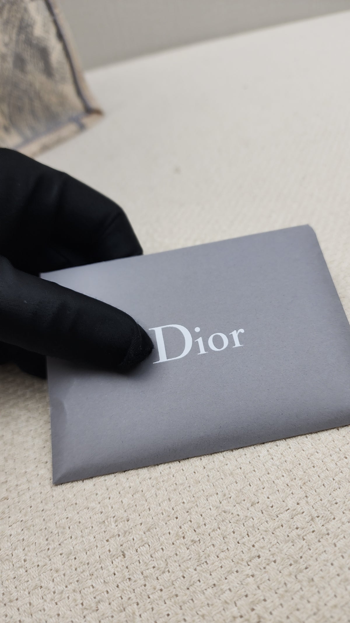 Dior Grey Toile de Jouy Medium Book Tote