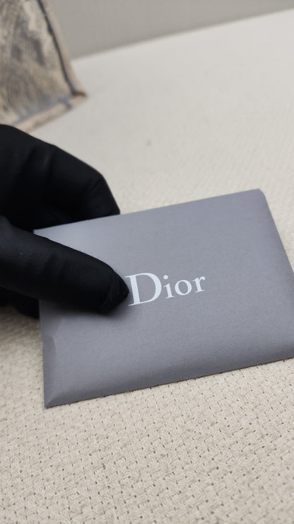 Dior Grey Toile de Jouy Medium Book Tote