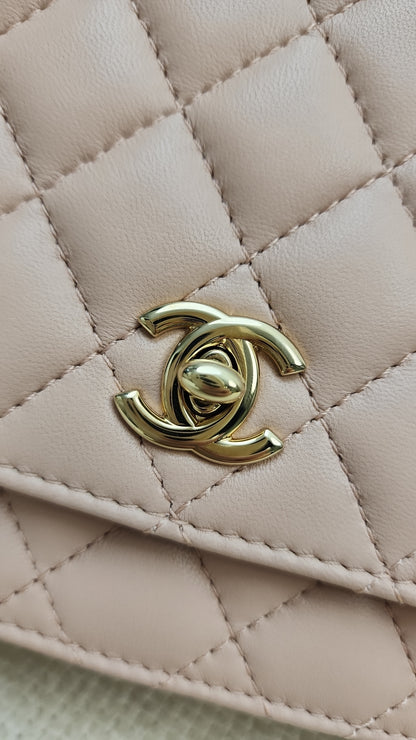 Chanel Fantasy Pearl Flap Bag Pink Shoulder Bag (GHW)