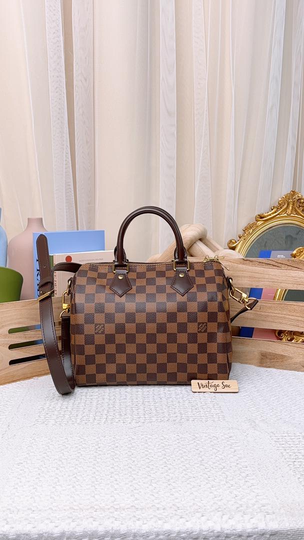 Louis Vuitton Damier Ebene Speedy 25 Bandouliere