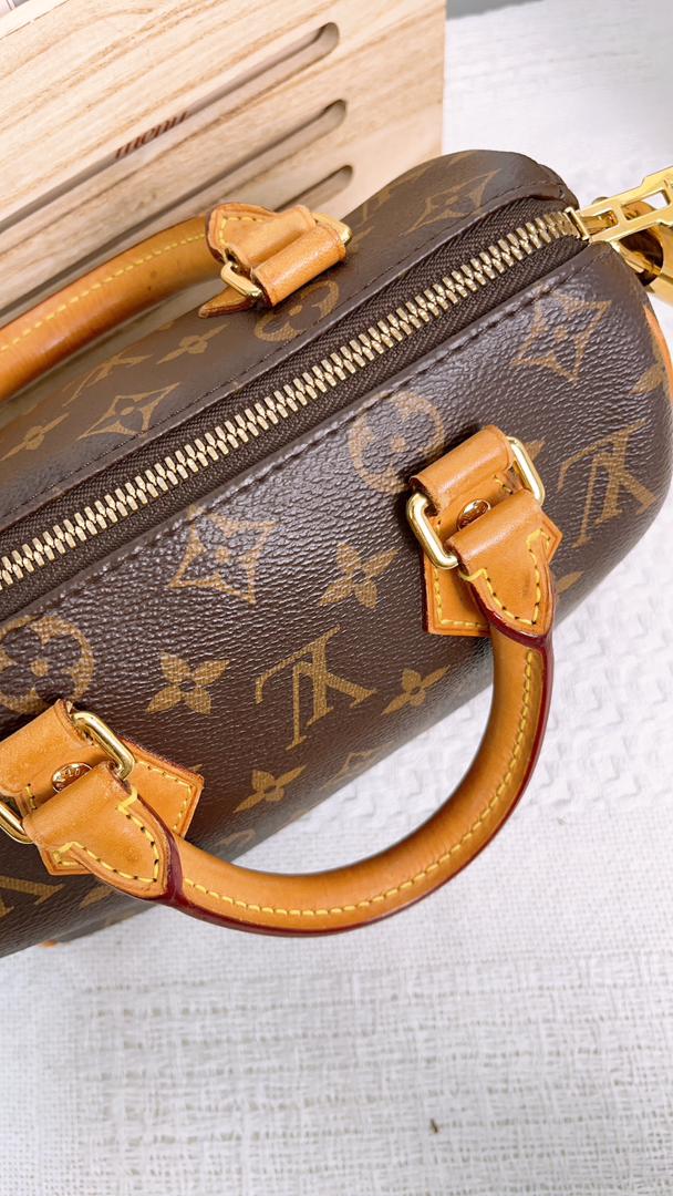 LV Monogram Speedy 20 with Black Strap