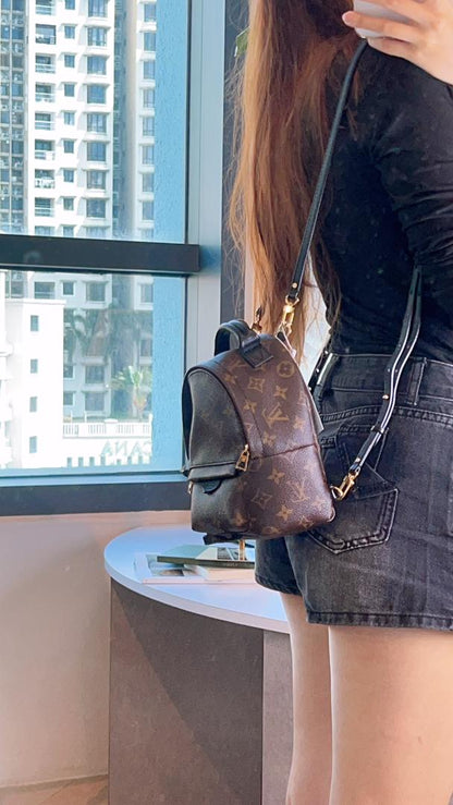 LV Monogram Mini Palm Spring