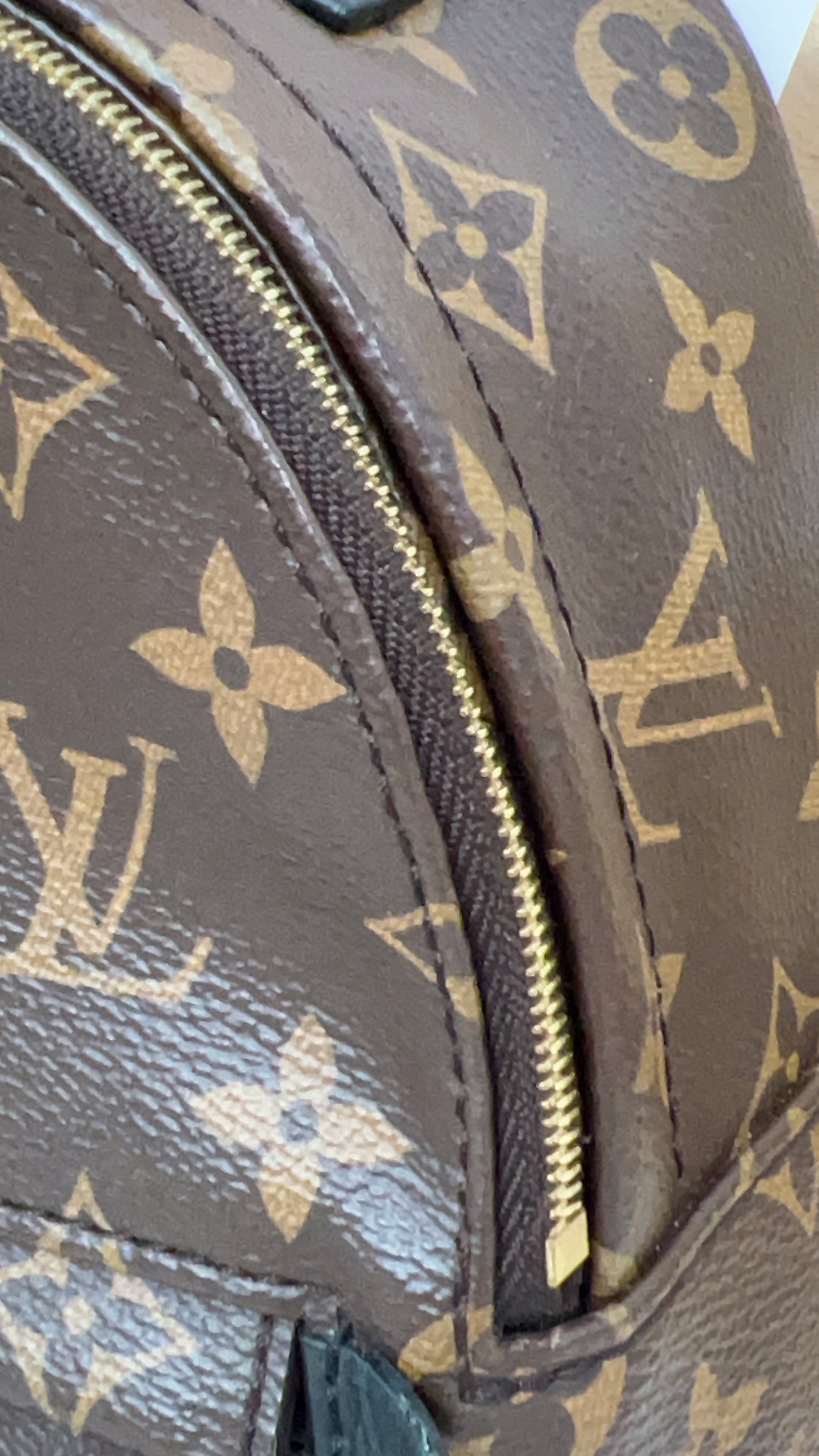 Louis Vuitton Monogram Palm Spring Mini Backpack