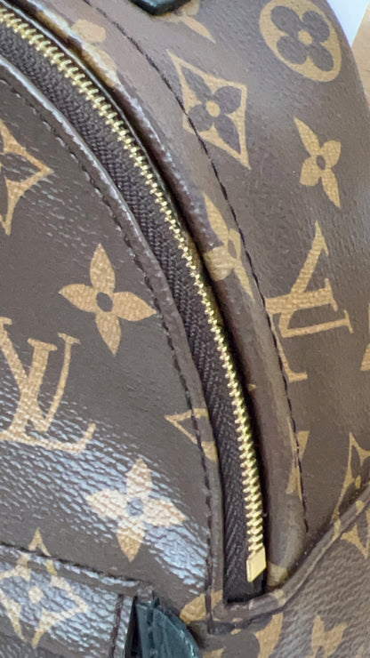 Louis Vuitton Monogram Palm Spring Mini Backpack