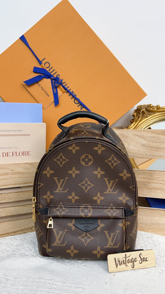 Louis Vuitton Monogram Palm Spring Mini Backpack