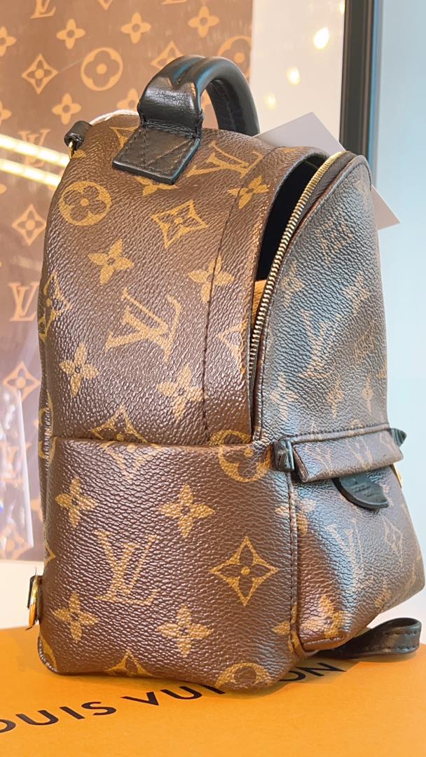LV Monogram Mini Palm Spring