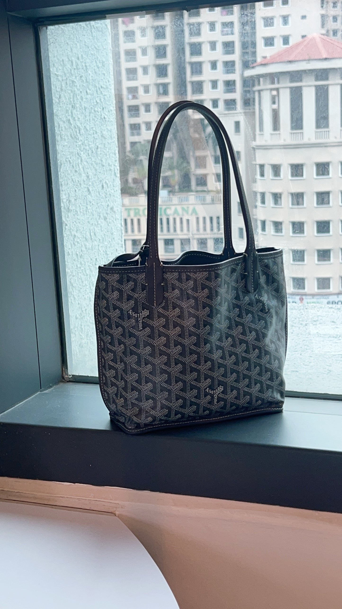 Goyard Grey Mini Anjou