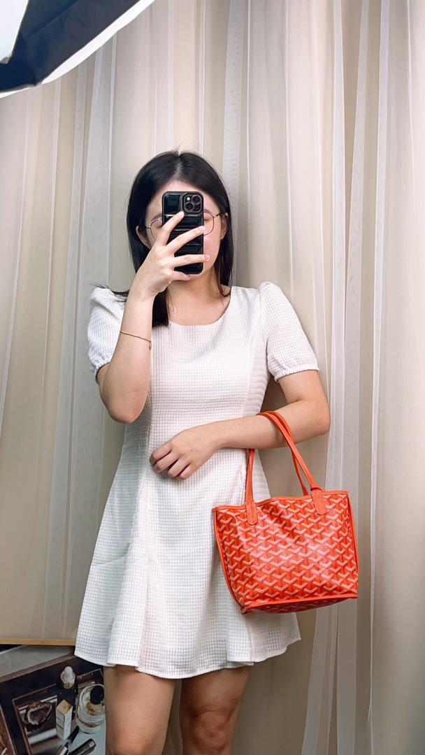 Goyard Orange Mini Anjou