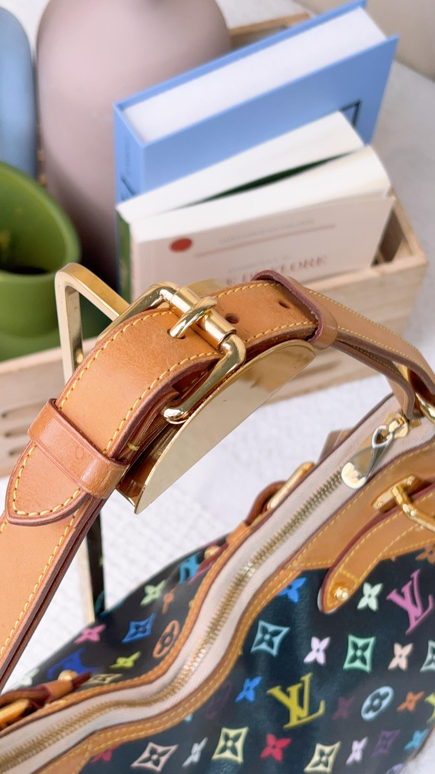 LV Black Multicolour Greta Shoulder Bag