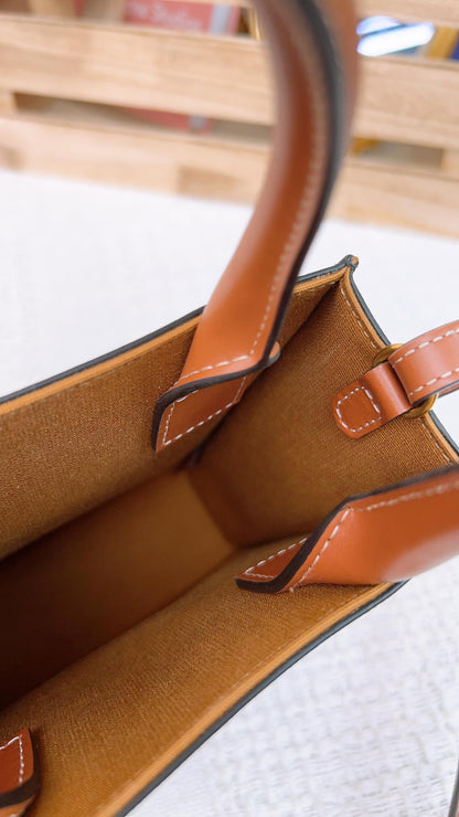 Celine Triomphe Vertical Mini Cabas