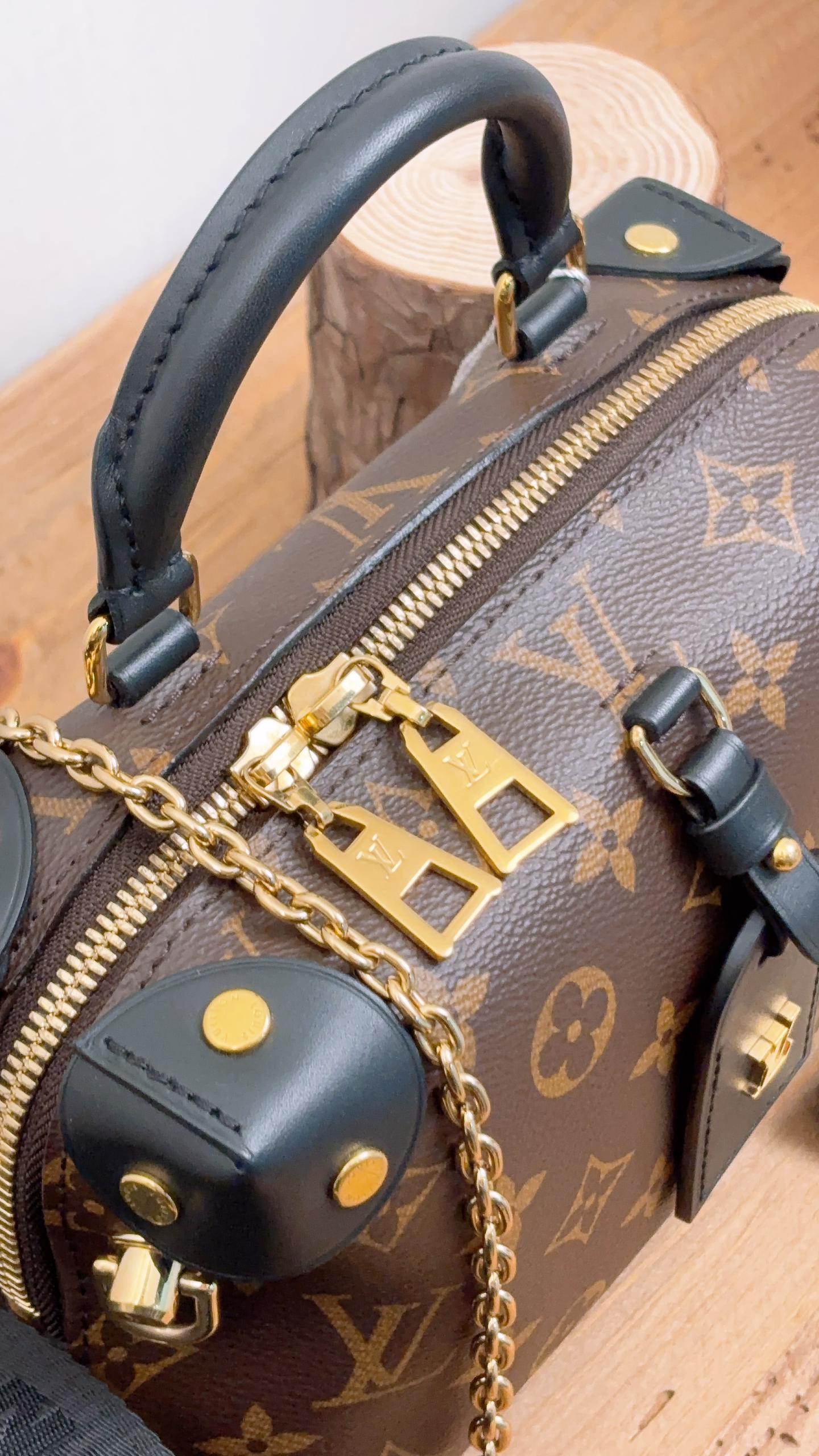 LV Monogram Petite Malle Souple