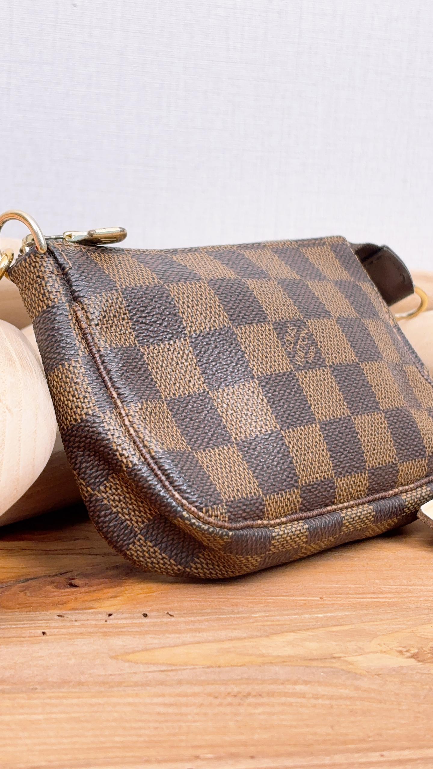 LV Damier Ebene Mini Pochette