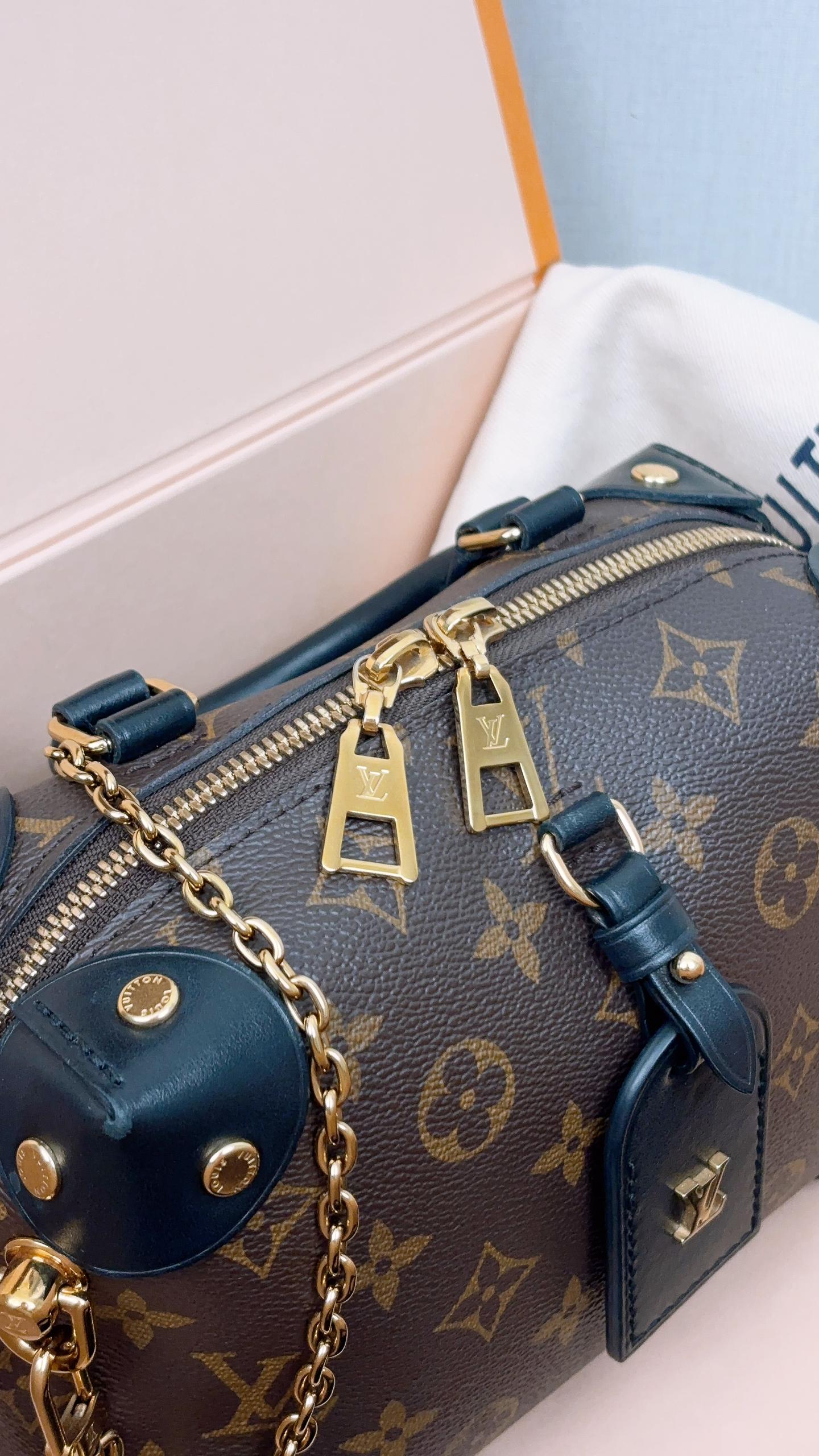LV Monogram Petite Malle Souple