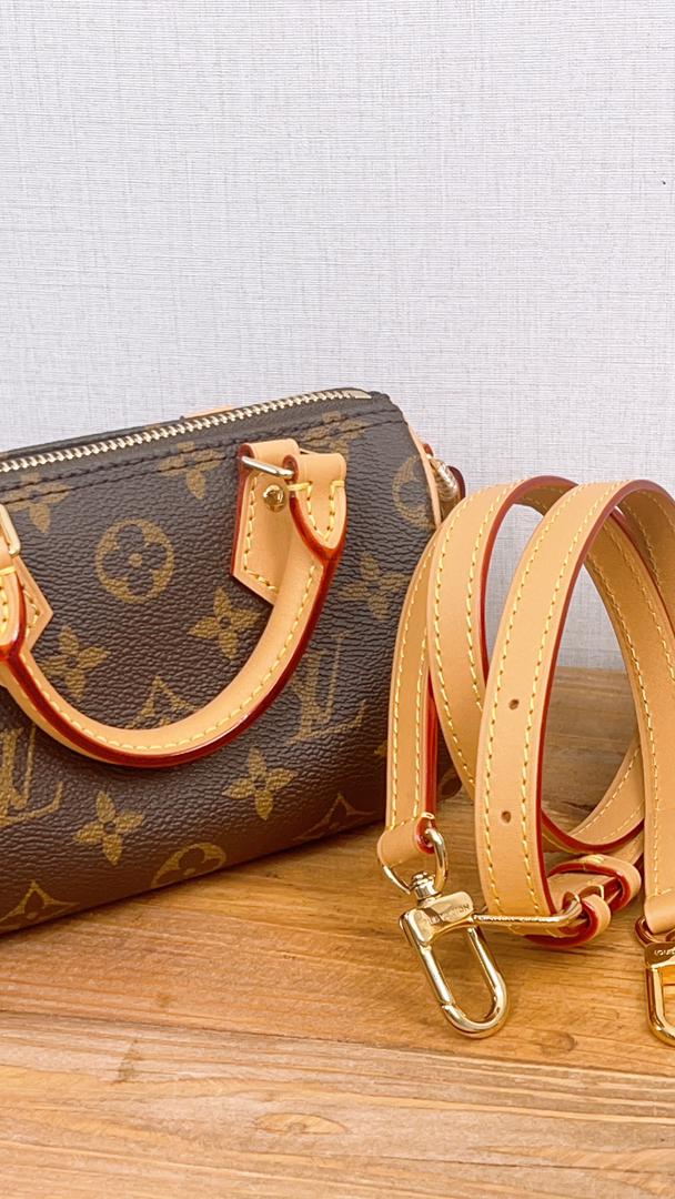 LV Monogram Nano Speedy