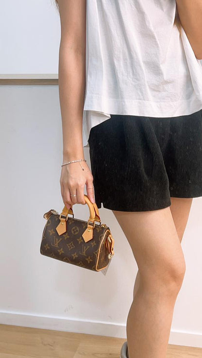 LV Monogram Nano Speedy