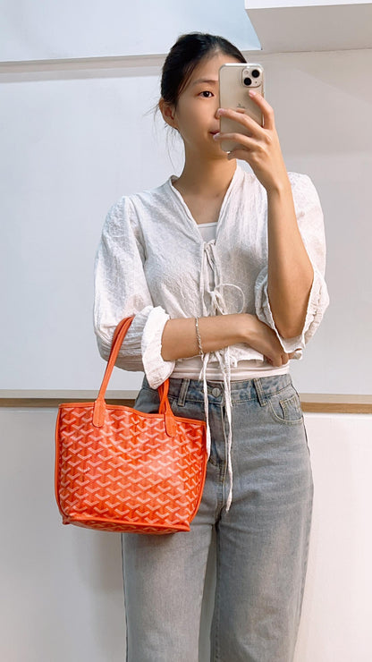 Goyard Mini Anjou in Orange