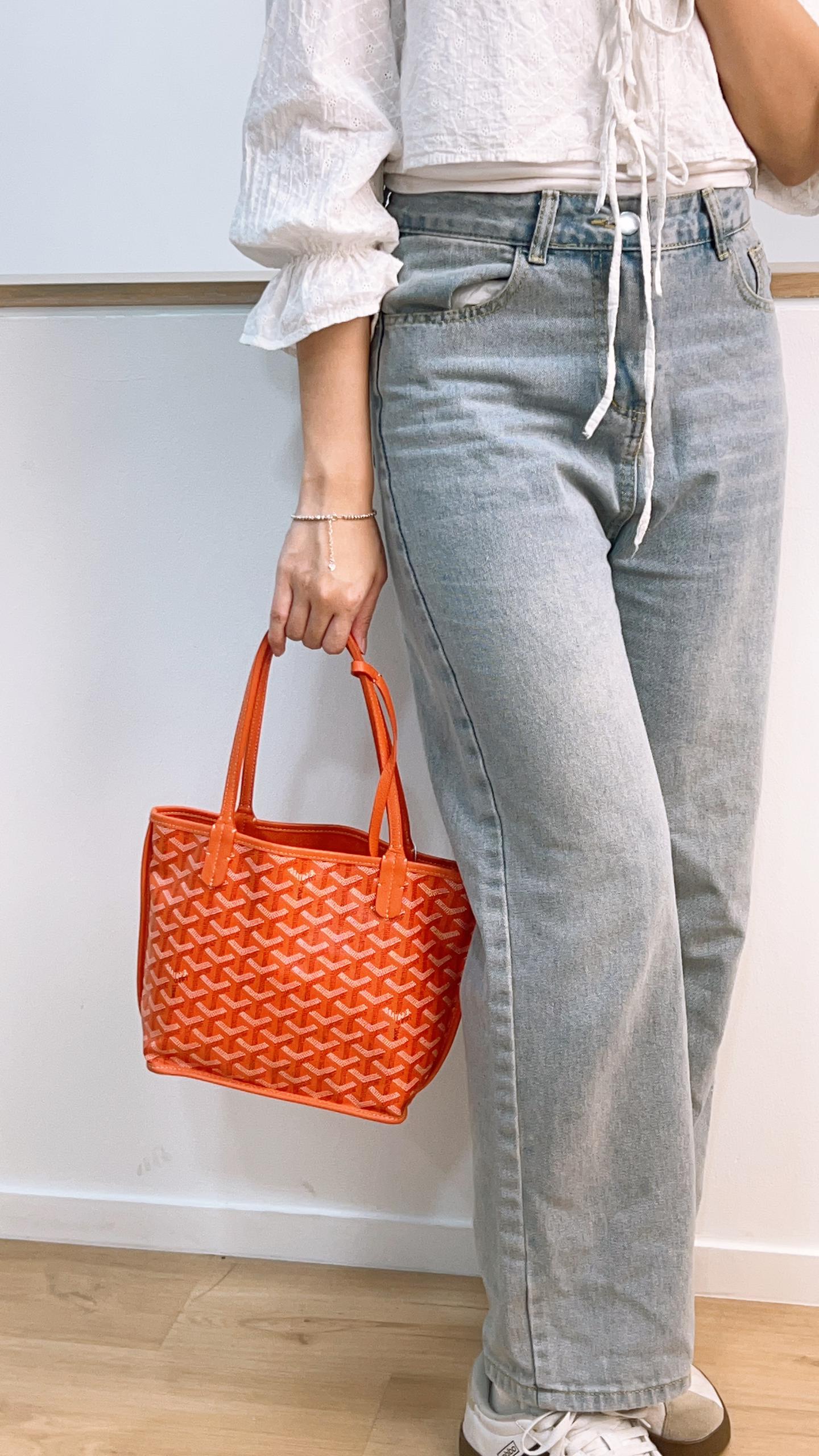 Goyard Mini Anjou in Orange