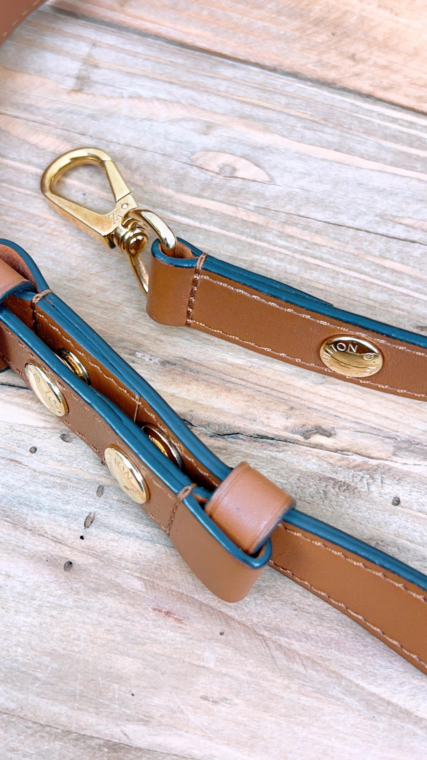 LV Reverse Monogram Mini Dauphine