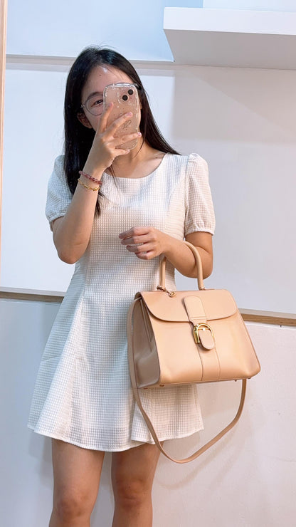 Delvaux Beige Calfskin Brillant MM (GHW)