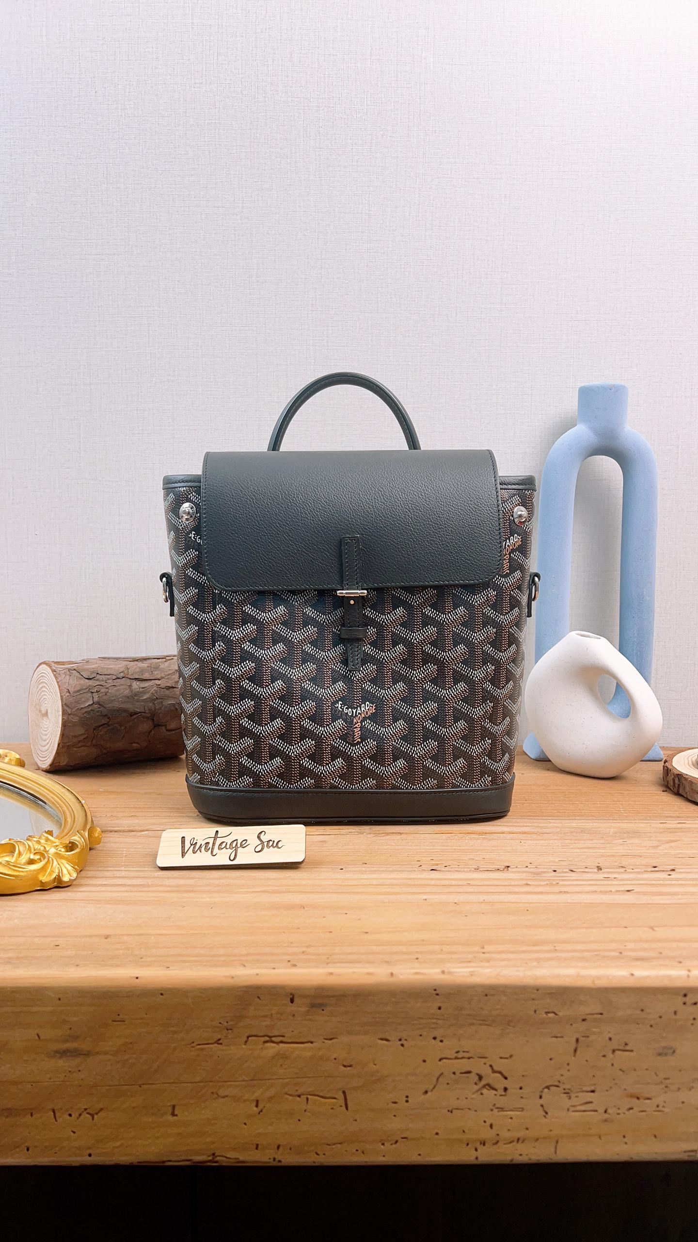Goyard Black Goyardine Alpin Mini Backpack