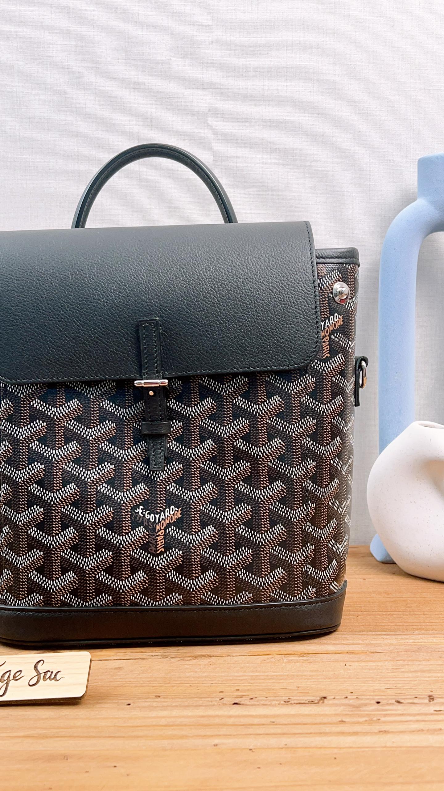 Goyard Black Goyardine Alpin Mini Backpack