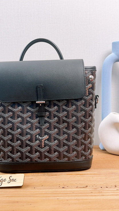 Goyard Black Goyardine Alpin Mini Backpack