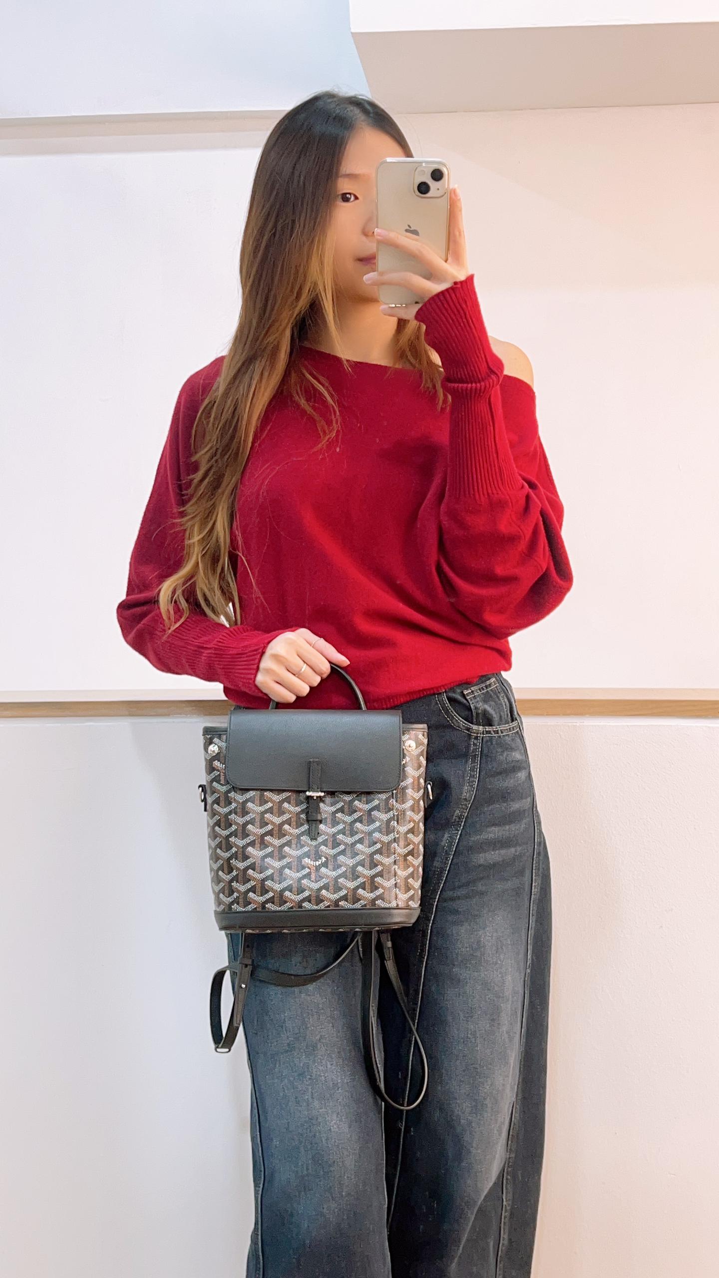 Goyard Black Goyardine Alpin Mini Backpack